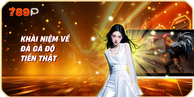 Khái Niệm Về Đá Gà Độ Tiền Thật