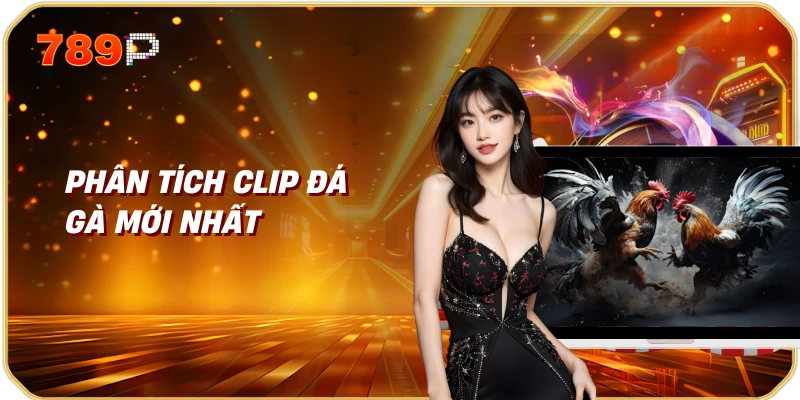 Phân tích clip đá gà mới nhất